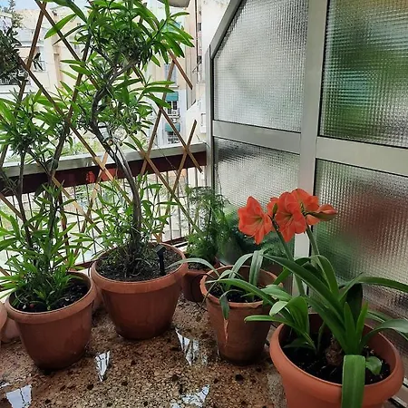 Private Spacious Floor Koukaki - Apartment Athens